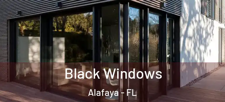 Black Windows Alafaya - FL