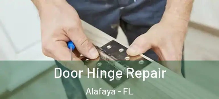 Door Hinge Repair Alafaya - FL