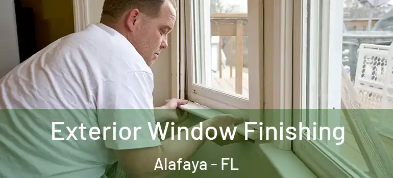 Exterior Window Finishing Alafaya - FL