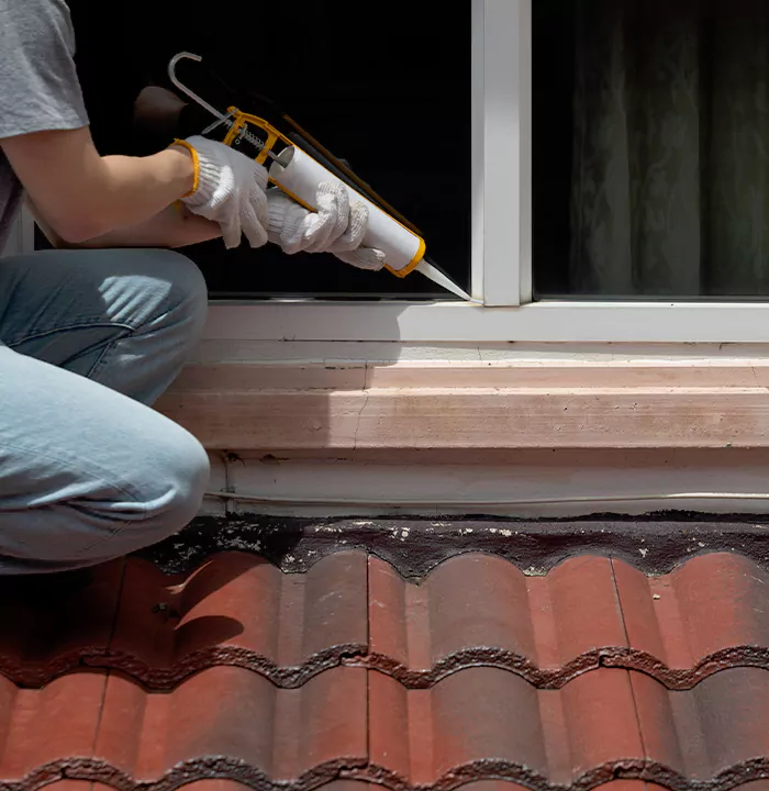 Roof Window Services in Alafaya, Florida