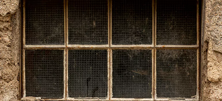 Traditional Double Front Doors in Alafaya, FL