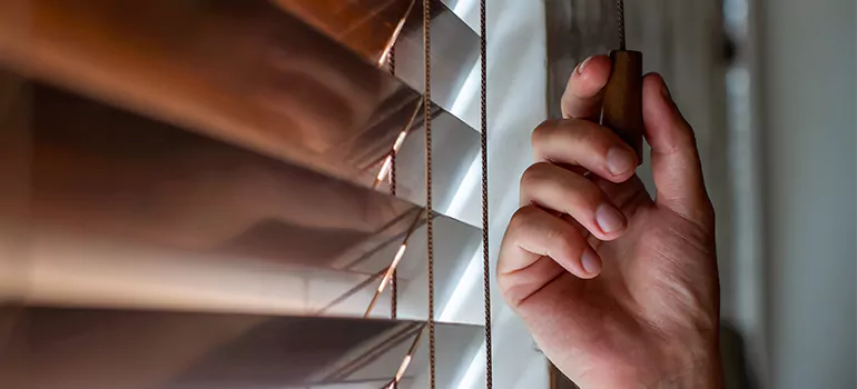 Double Roller Blinds in Alafaya, FL