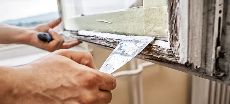 Exterior Window Frame Repair in Alafaya, FL