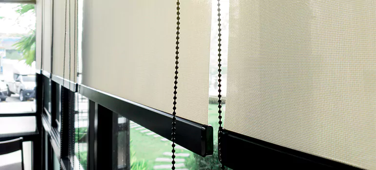 Blackout Window Shades in Alafaya, FL