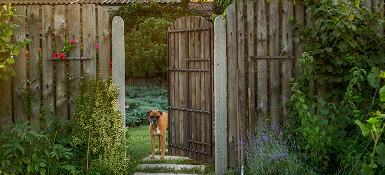 Winter Garden Garage Door Repair in Alafaya,[location field=state]