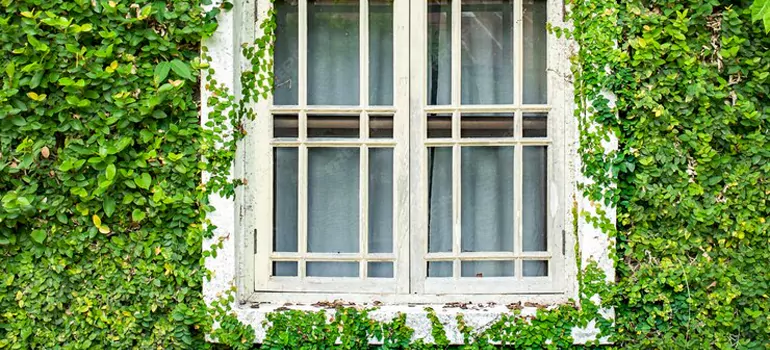 Garden Window Repair Near Me in Alafaya, FL