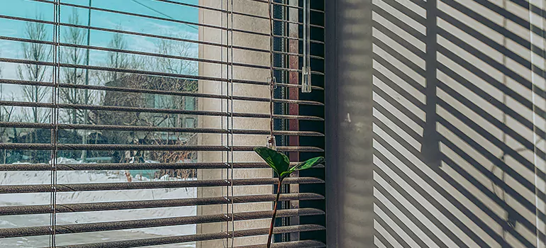 Commercial Window Blinds in Alafaya, FL