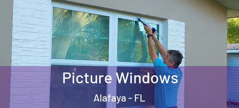 Picture Windows Alafaya - FL