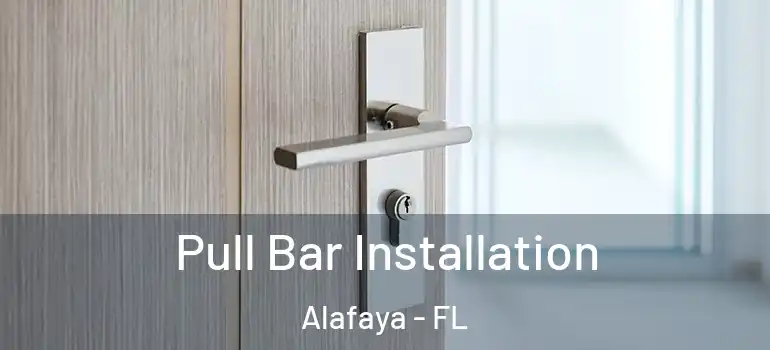 Pull Bar Installation Alafaya - FL