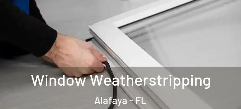 Window Weatherstripping Alafaya - FL