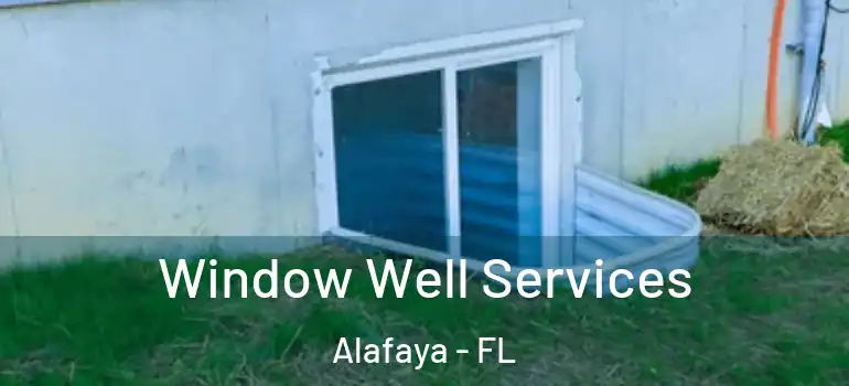 Window Well Services Alafaya - FL